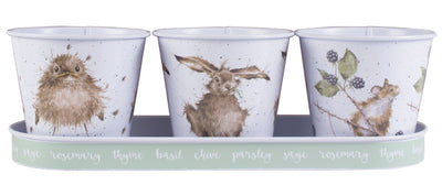 Set of 3 Herb Pots with Tray - Mouse