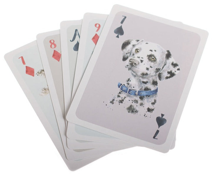 Playing Cards Gift Set