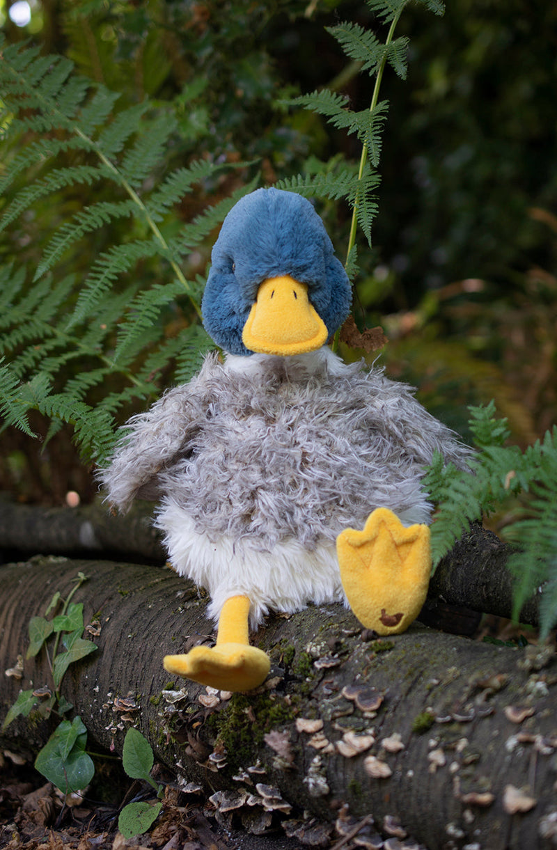 Webster - Peluche Canard