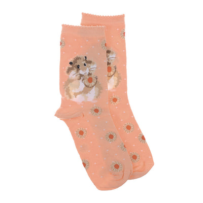 Chaussettes Femmes - Hamster -  Diet Starts Tomorrow