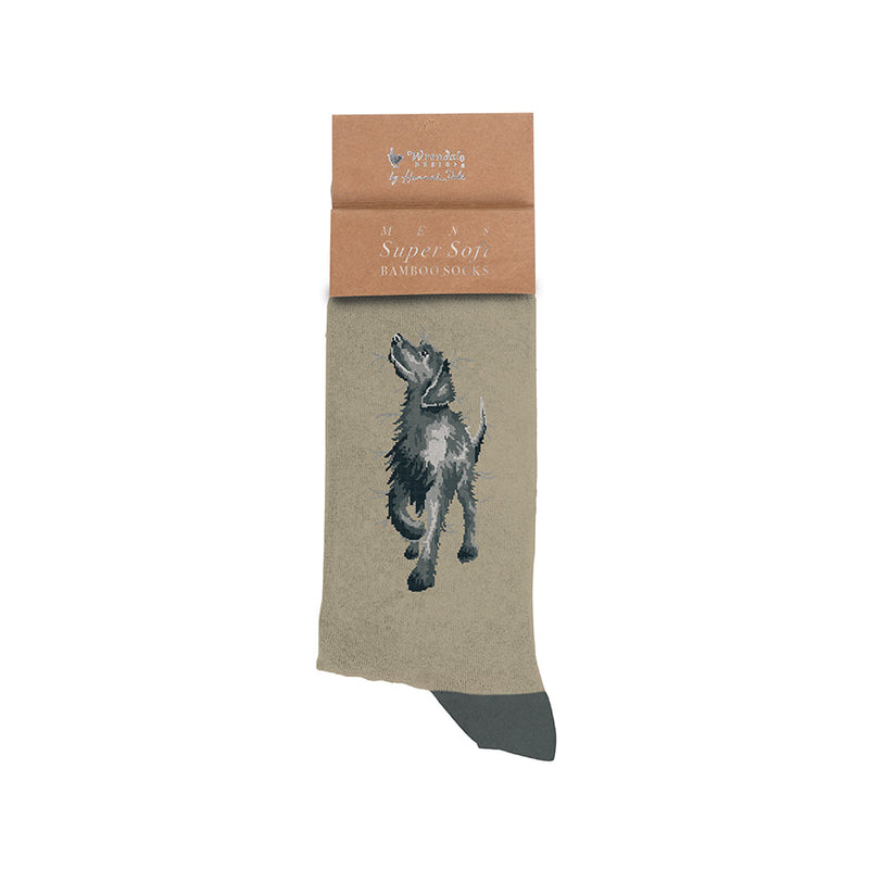 Chaussettes pour hommes - Labrador - Promenade