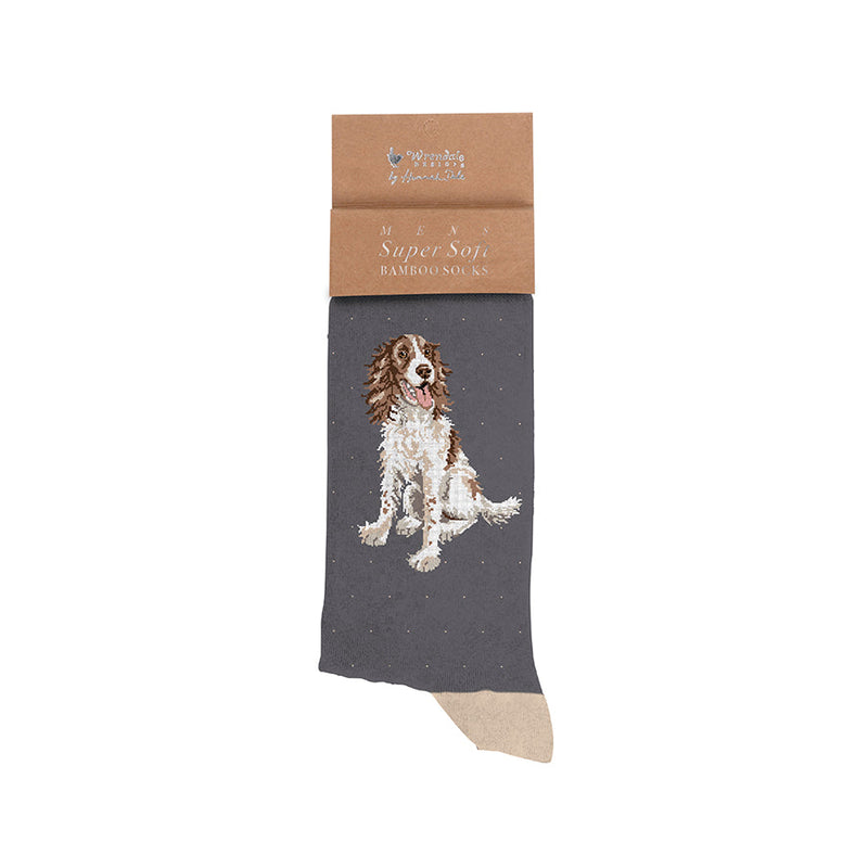 Chaussettes pour hommes - Spaniel - Saule