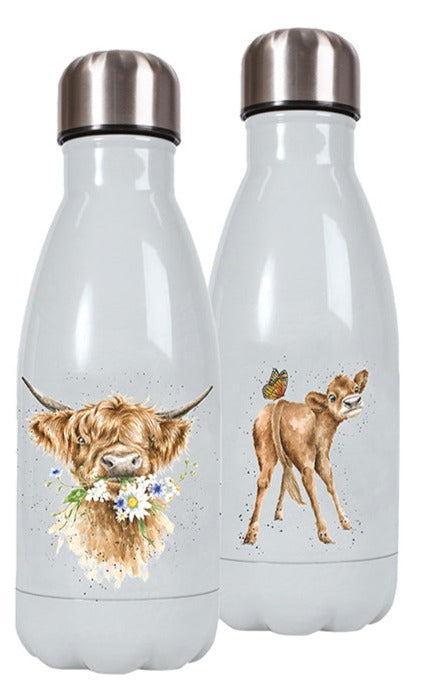 Water Bottle  - Cow - Daisy Cow