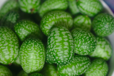 Mouse Melon - Cucamelon - 15 Seeds