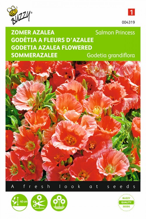 Godetia Azalea Florecida - Princesa Salmón - 0,75 g