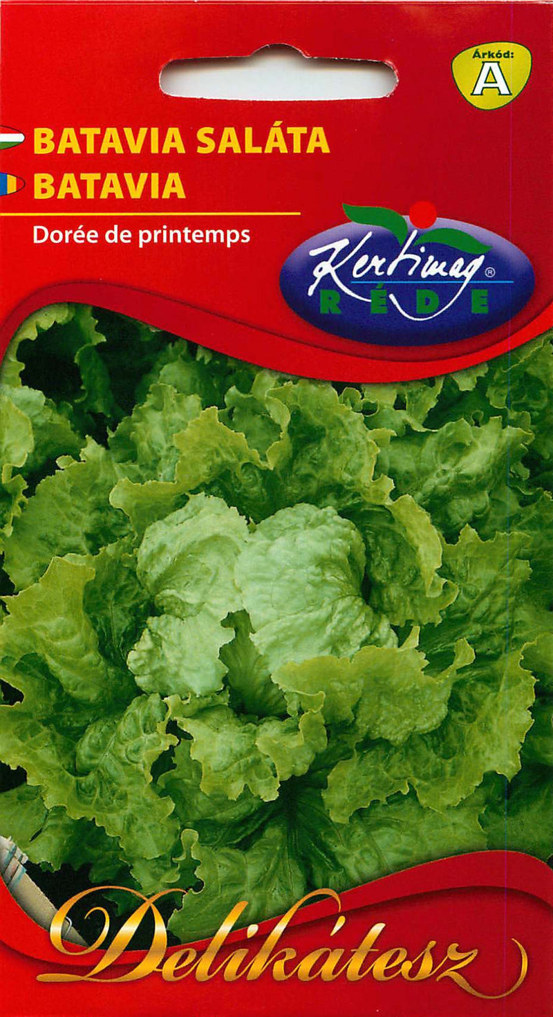 Lettuce  - Batavia - 2g