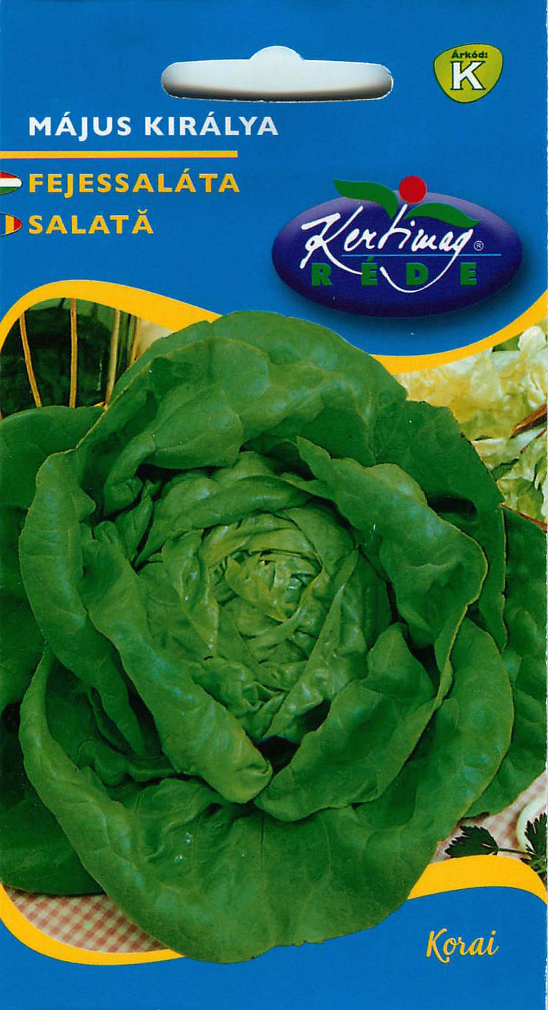 Lettuce - May King - 3g