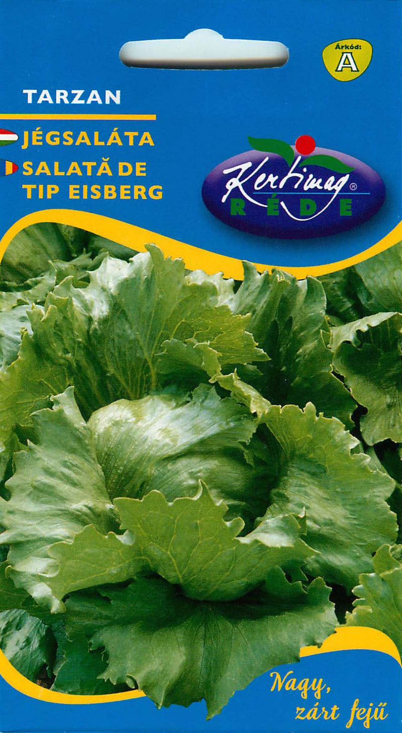 Laitue - Crisphead Lettuce Tarzan - 2g