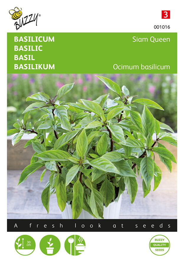 Basil - Siam Queen - 0,2g