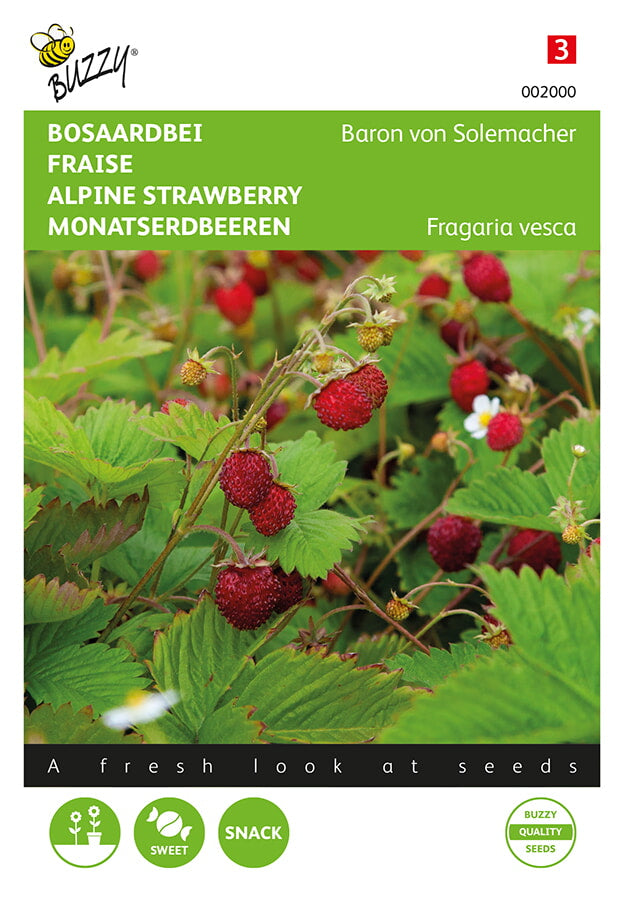 Fraise - Baron von Solemacher - 0,25g