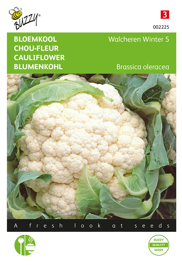 Cauliflower - Walcheren Winter 5 - 0,5g