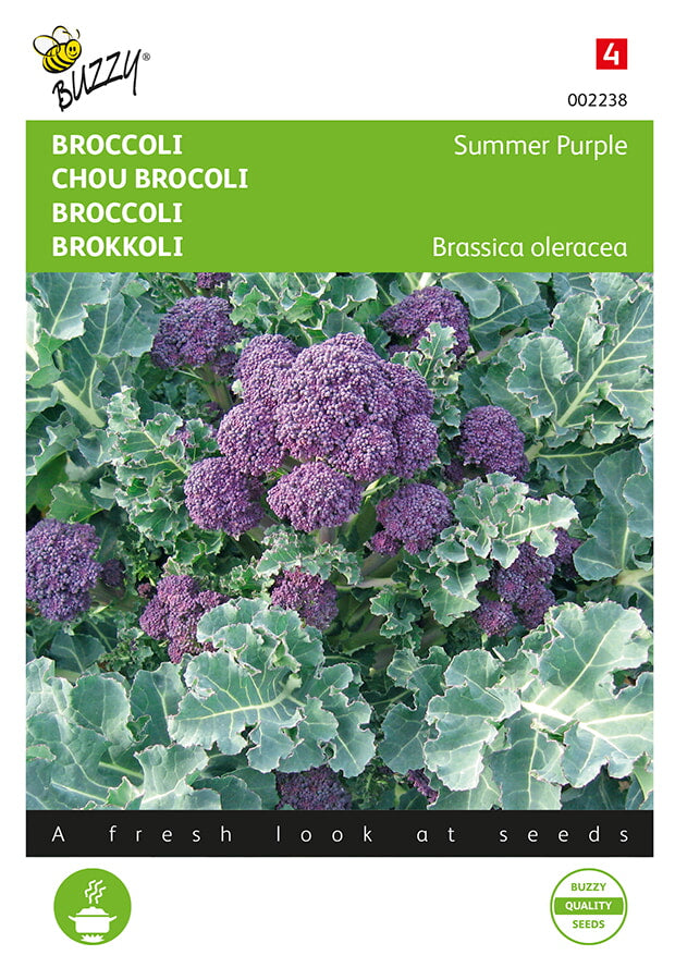 Broccoli - Summer Purple - 0,25g