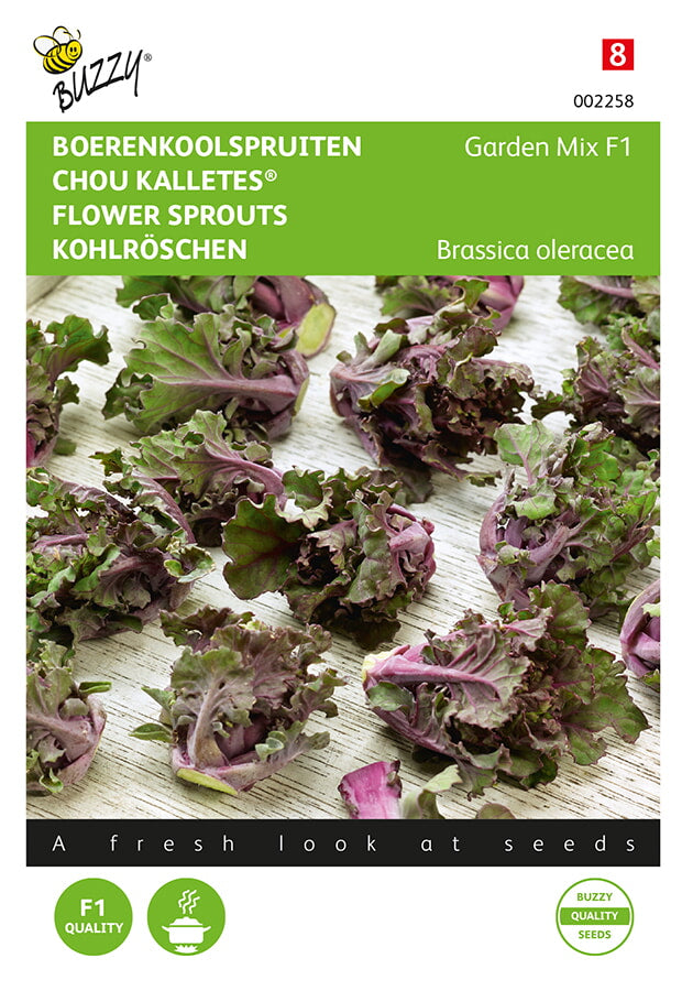 Chou Kalletes - Garden Mix F1 - 25 Graines