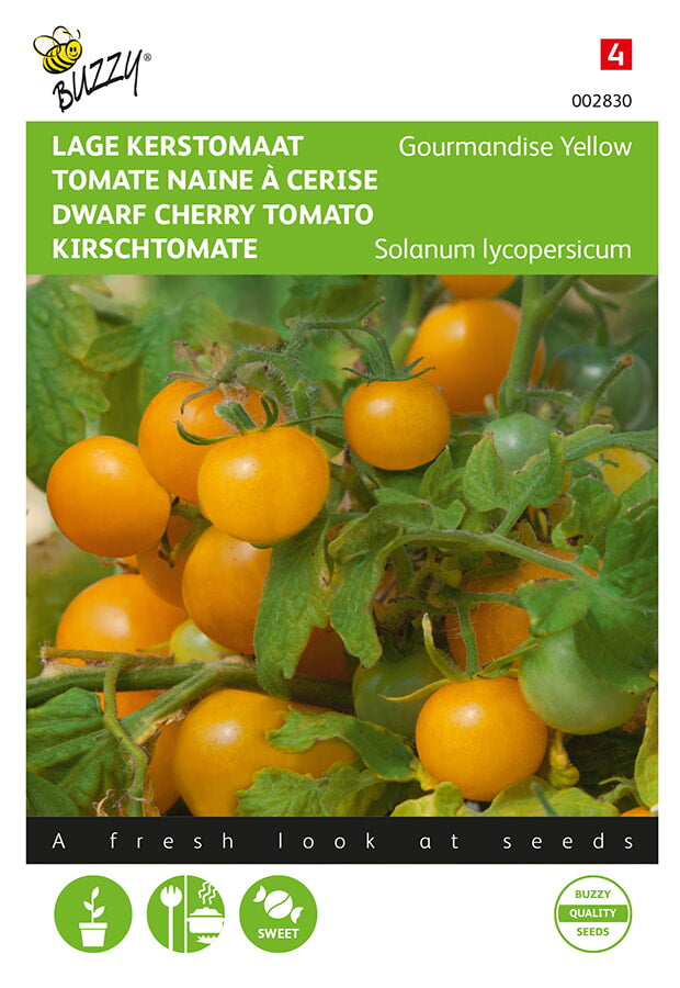 Tomate Cerise naine - Yellow Gourmandise - 10 Graines