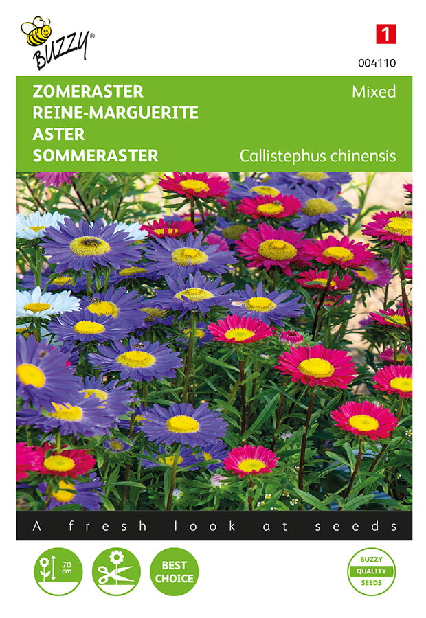 Reine-Marguerite - Simple Fleur - Mixte - 1g