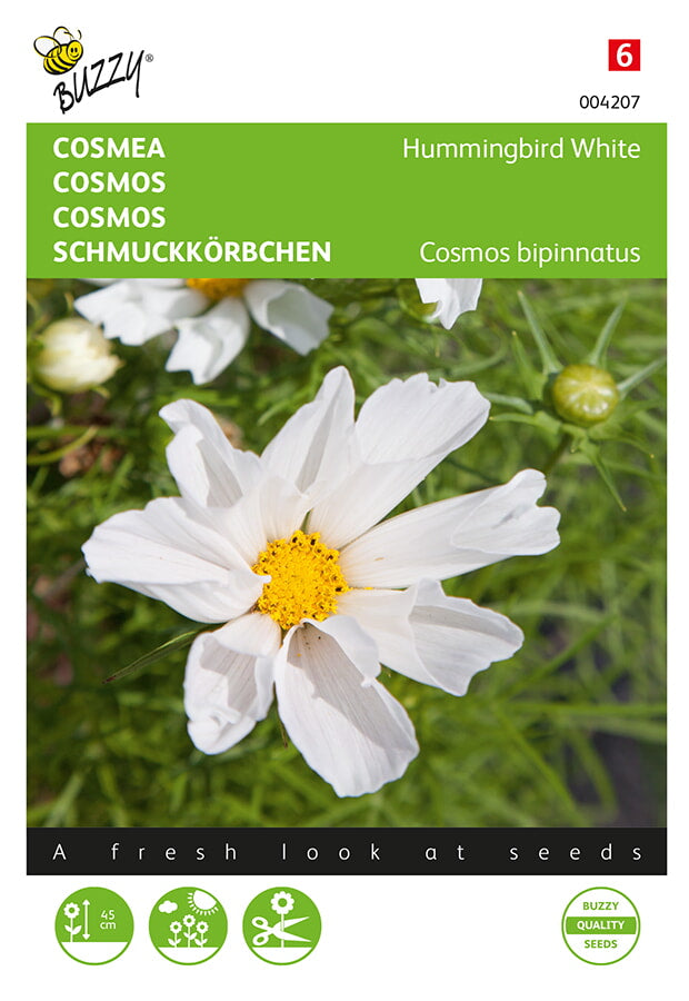 Cosmos - Colibrí Blanco - 0,3g