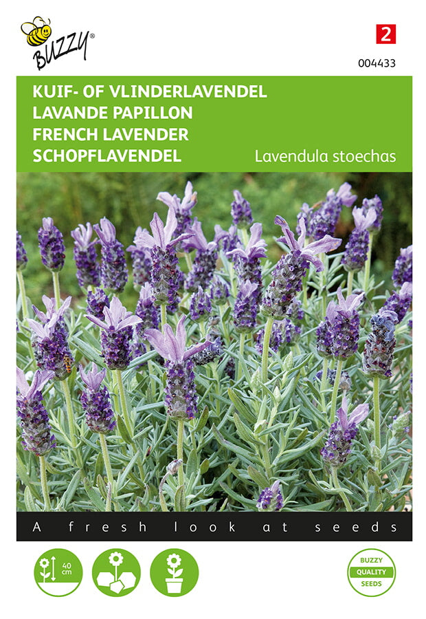 Francuska Lavanda - 0,1 g