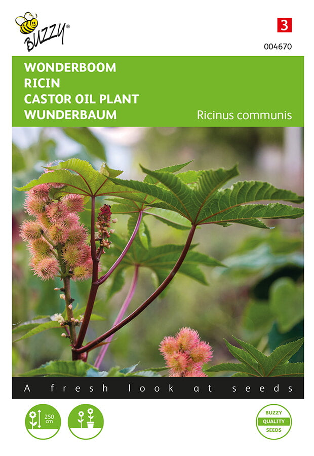 Castor Oil Plant - 5g