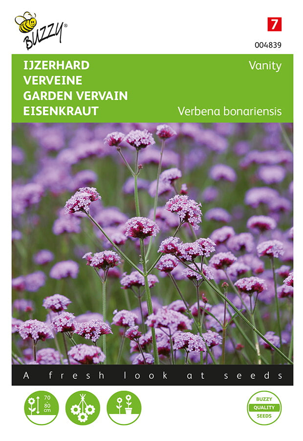 Verbena de jardín - Vanidad - 25 semillas