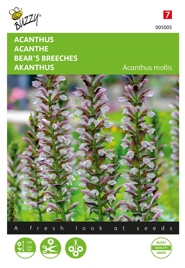 Acanthus - 2g