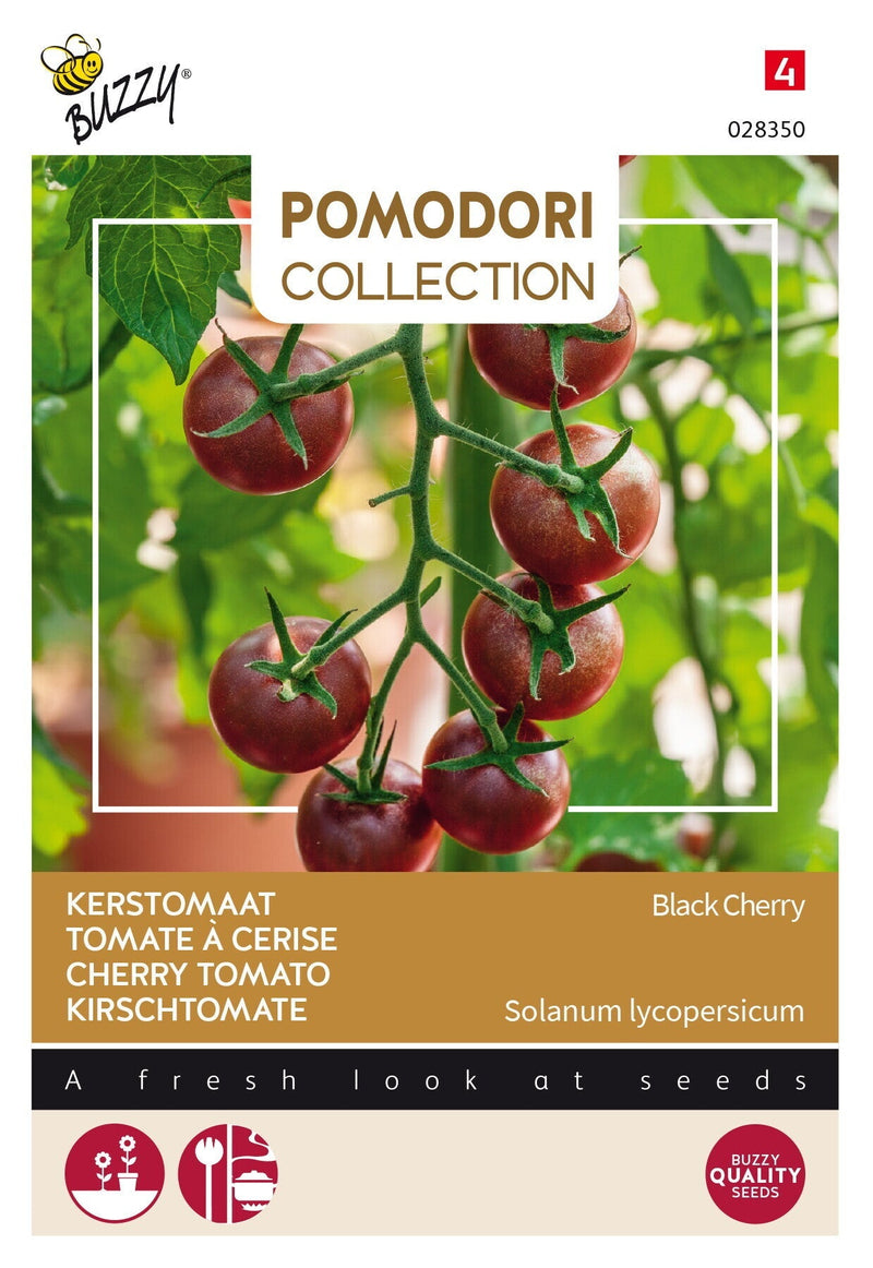 Kirschtomate - Black Cherry - 10 Samen