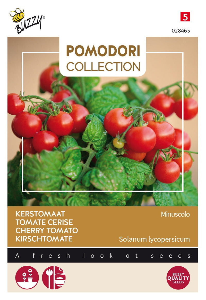 Kirschtomate –  Minuscolo – 10 Samen