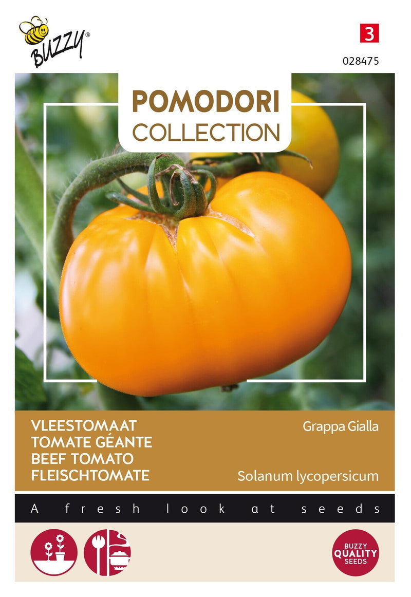 Fleischtomate – Grappa Gialla - 0,5g