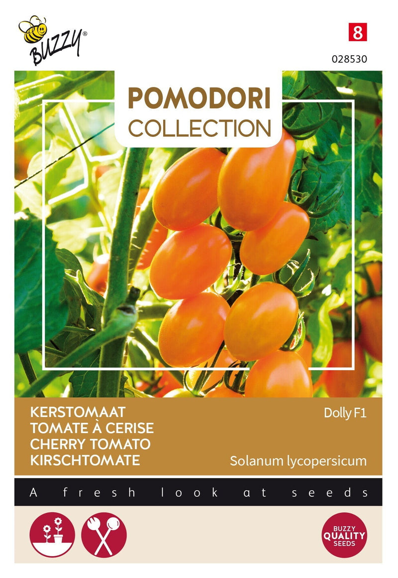 Tomate Cherry - Dolly F1 - 7 Semillas