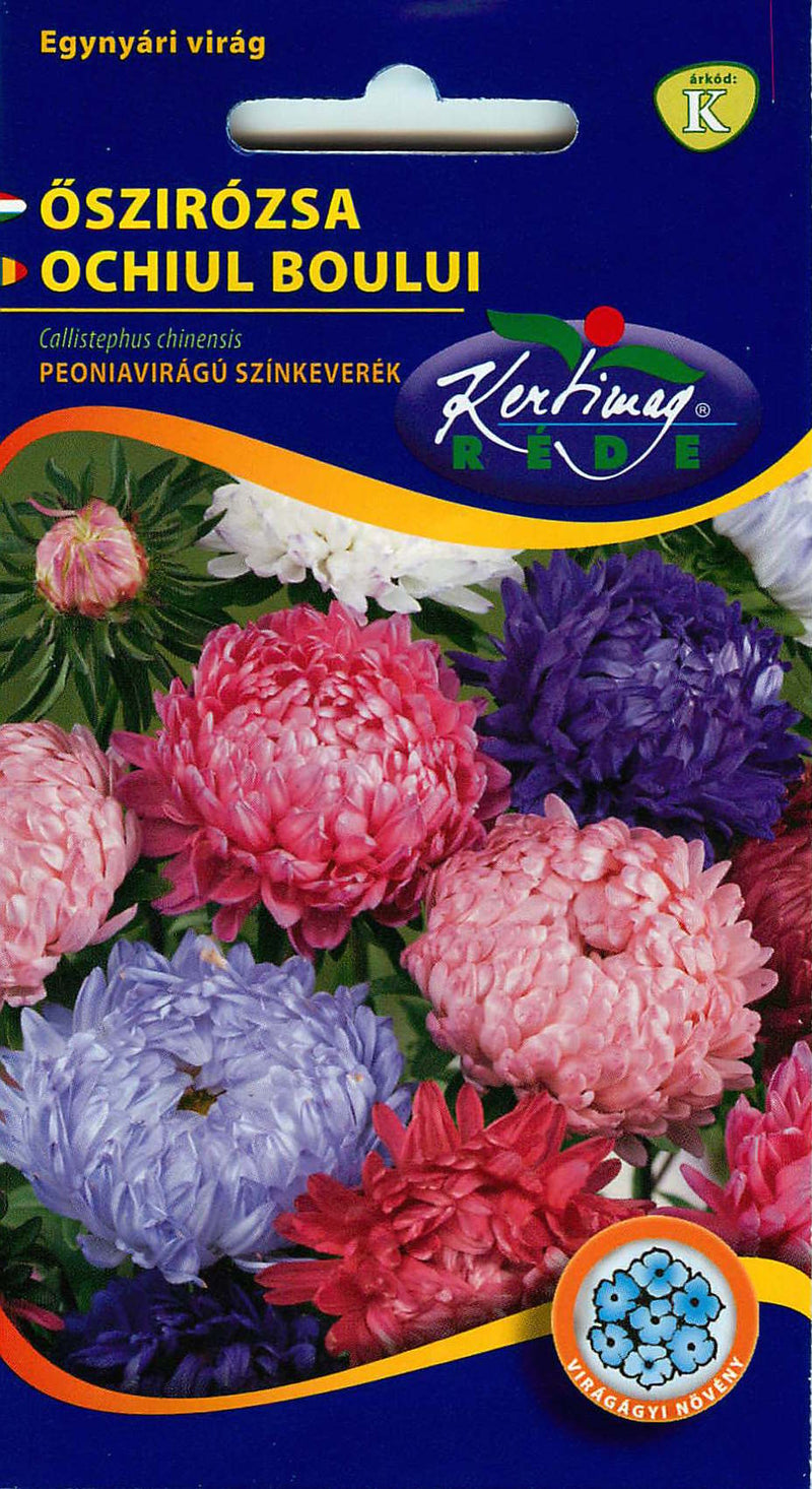 Aster - Peony - 1g