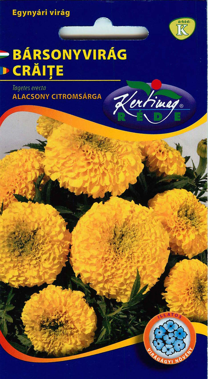 Calendula Africana - Giallo Limone - 1g