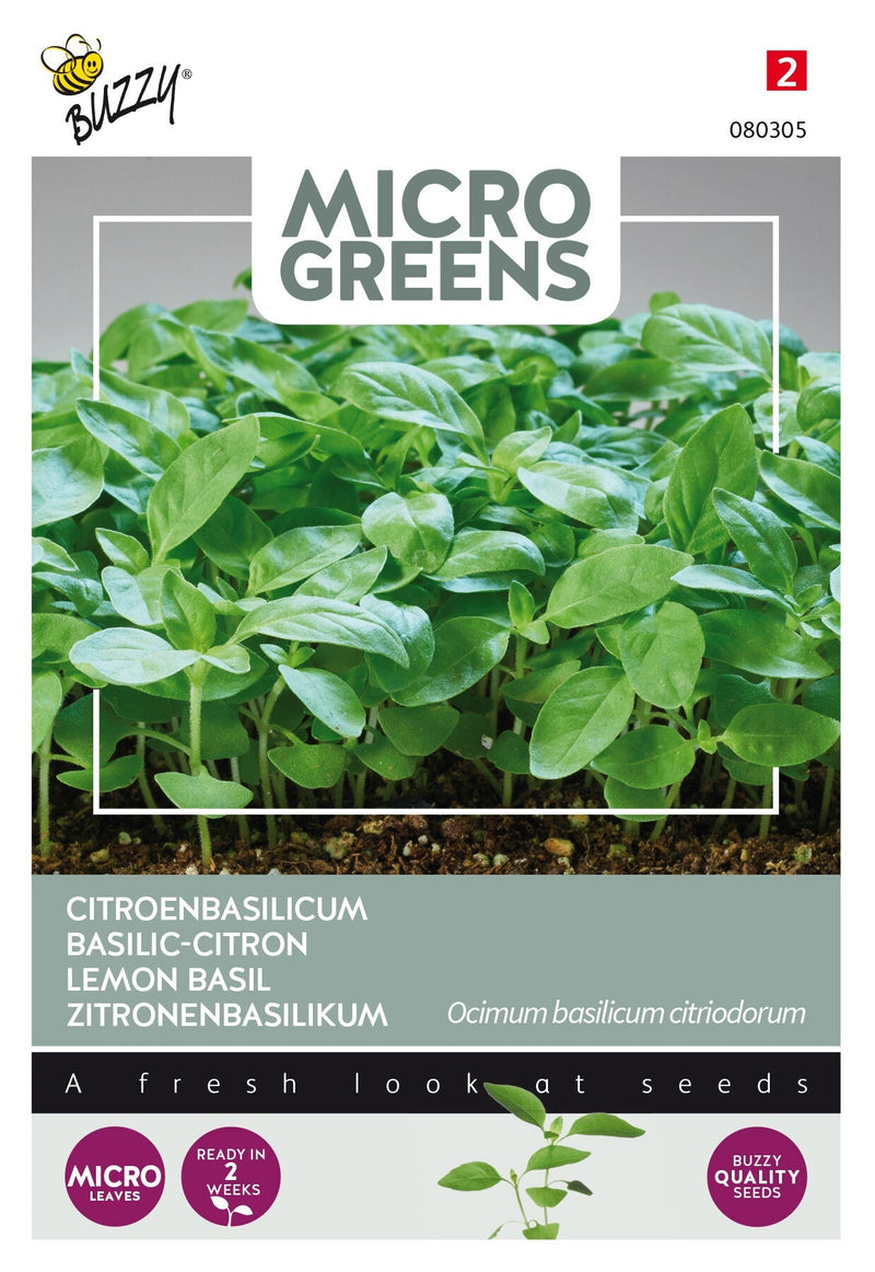 Limun Bosiljak - Microgreens - 1g