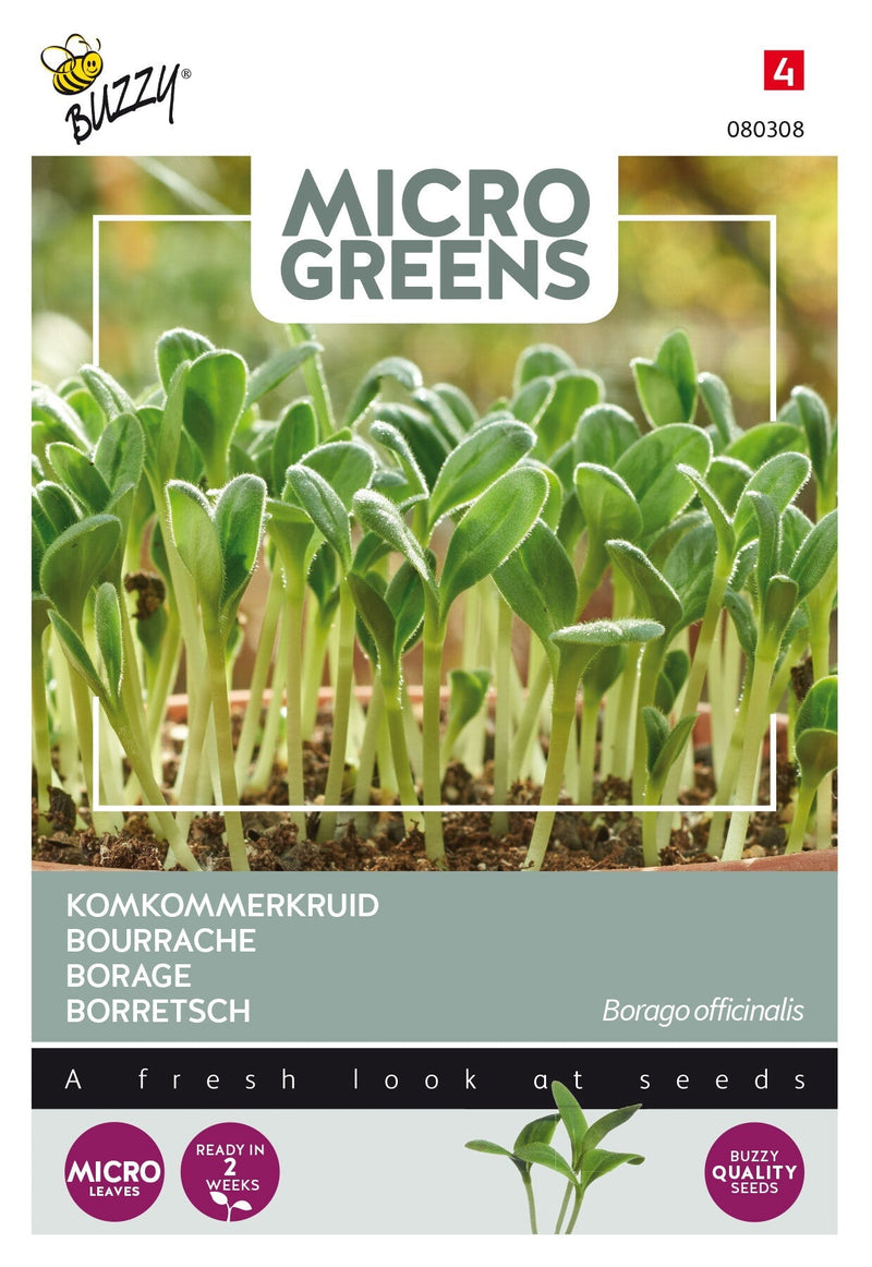 Borretsch - Microgreens - 8g