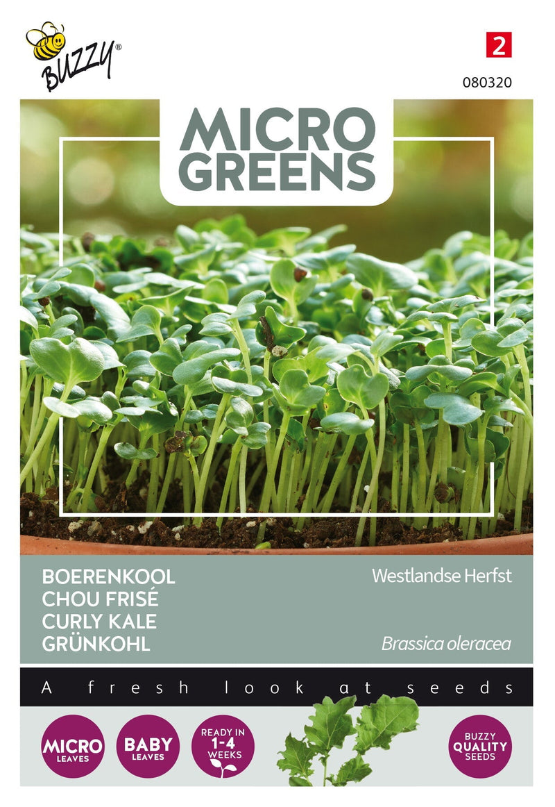 Boerenkool - Westlandse Herfst - Microgreens - 1g