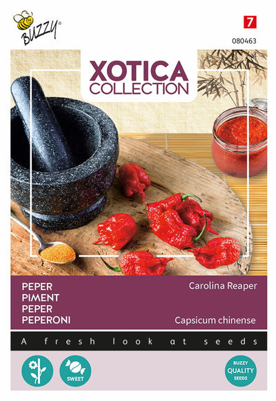 Hot Pepper - Carolina Reaper - 10 Seeds