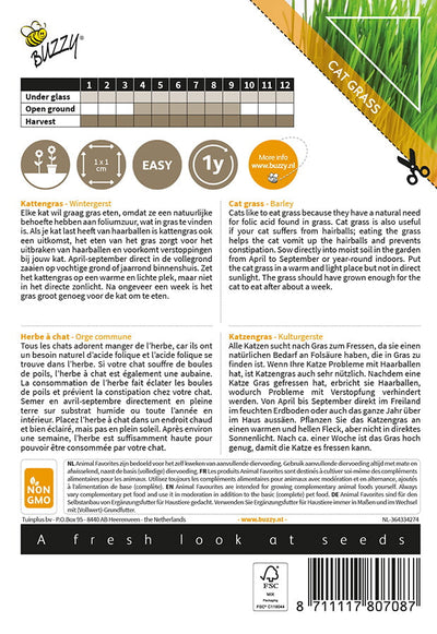 Katzengras - Wintergerst - 20g