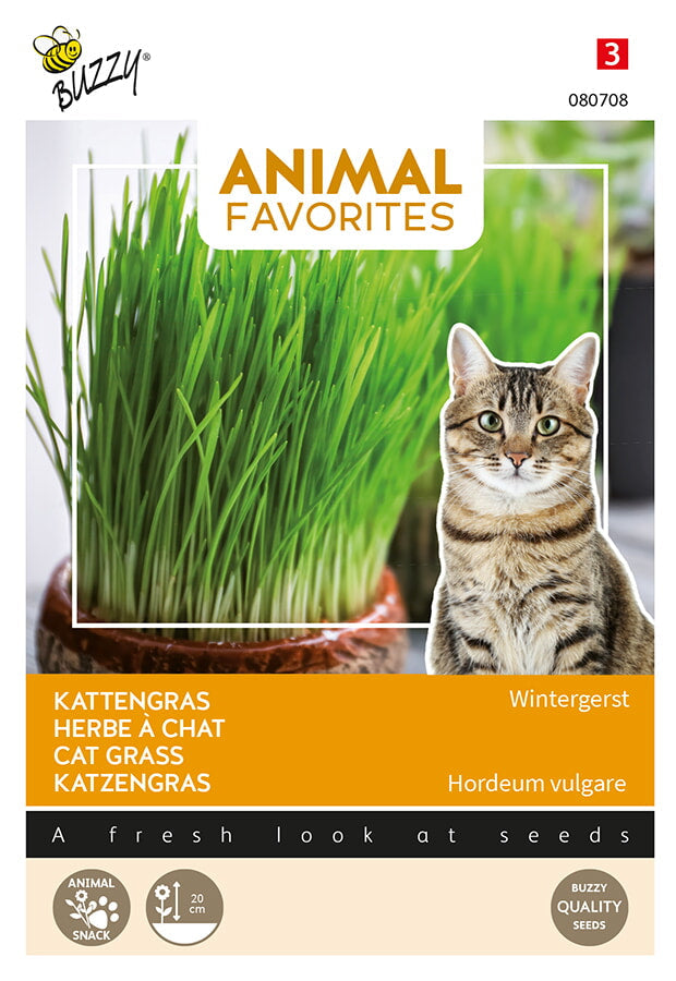 Cat Grass - Wintergerst - 20g