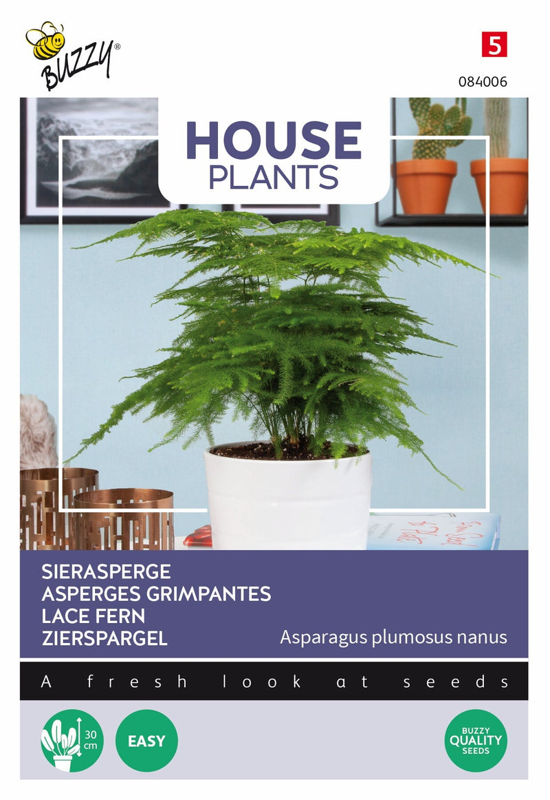 Lace Fern - 1g