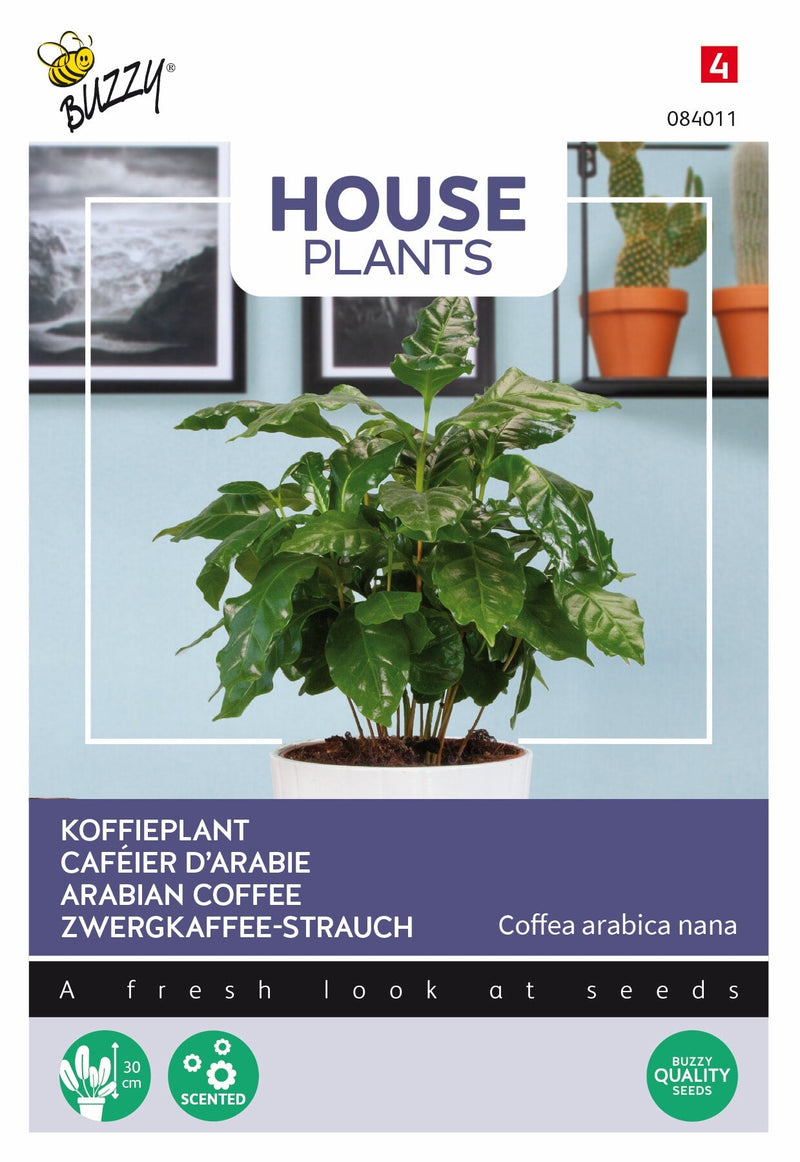 Arabischer Kaffee – 15 Samen