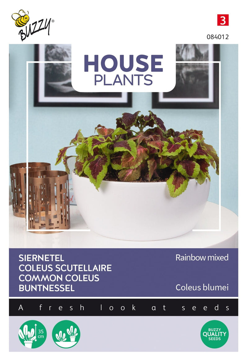 Coleus Comune - Rainbow Mix - 0,25g