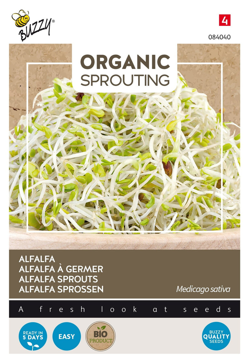 Brotes de Alfalfa - Orgánico - 30g