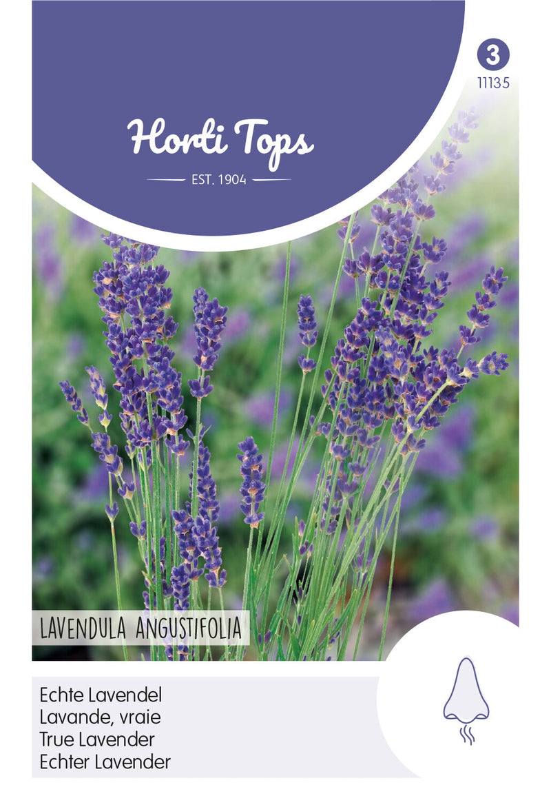 Lavanda: vera lavanda