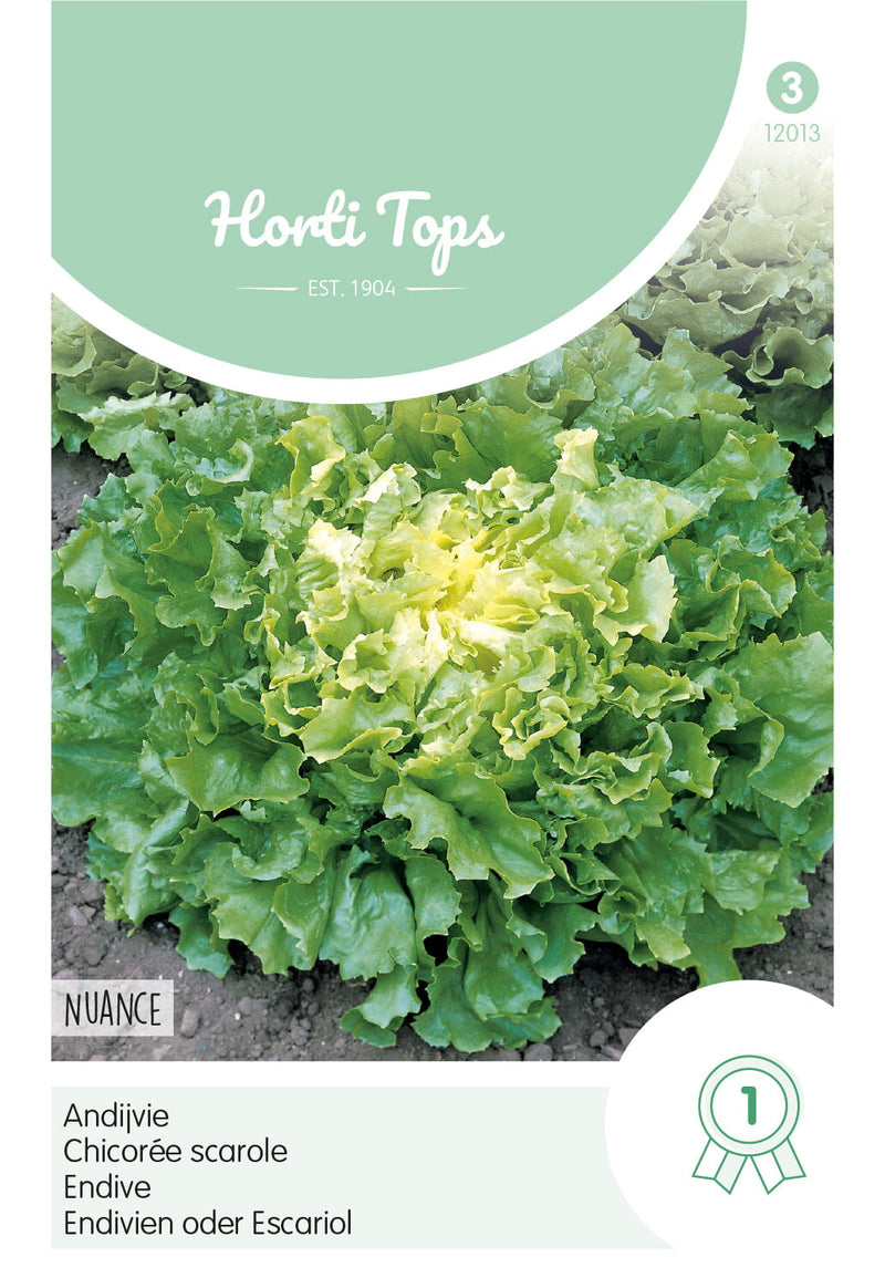 Endive - Nuance - 1g