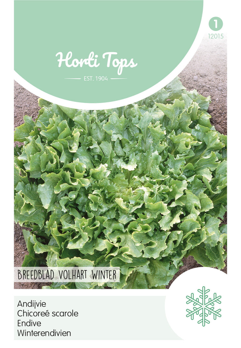 Endive - Breedblad Volhart Winter - 3g