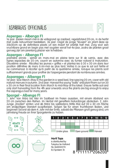Asparagus - Albenga F1 - 6 Seeds
