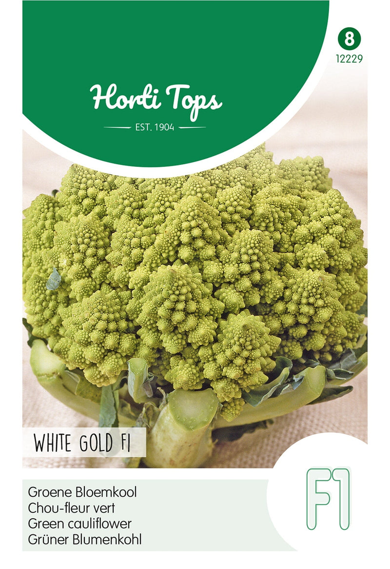 Grüner Blumenkohl – White Gold F1 - 30 Samen