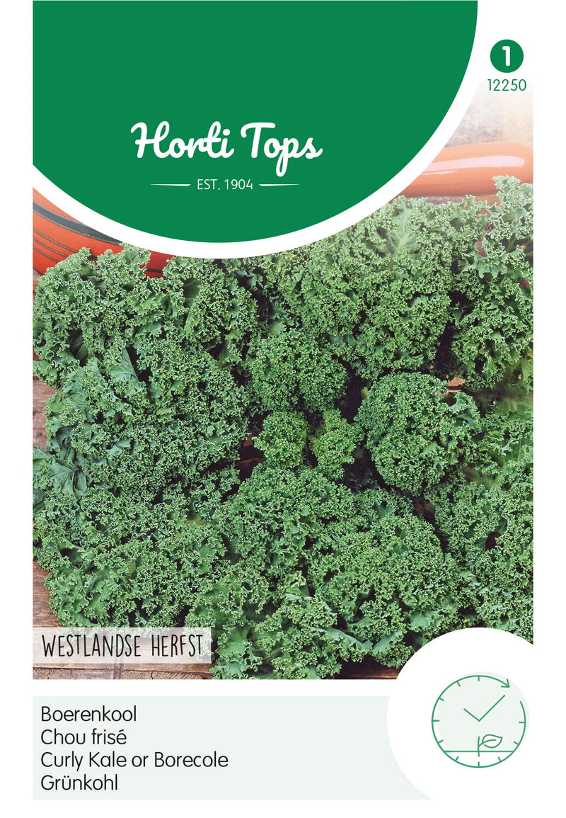 Kale - Westlandse Herfst - 3g