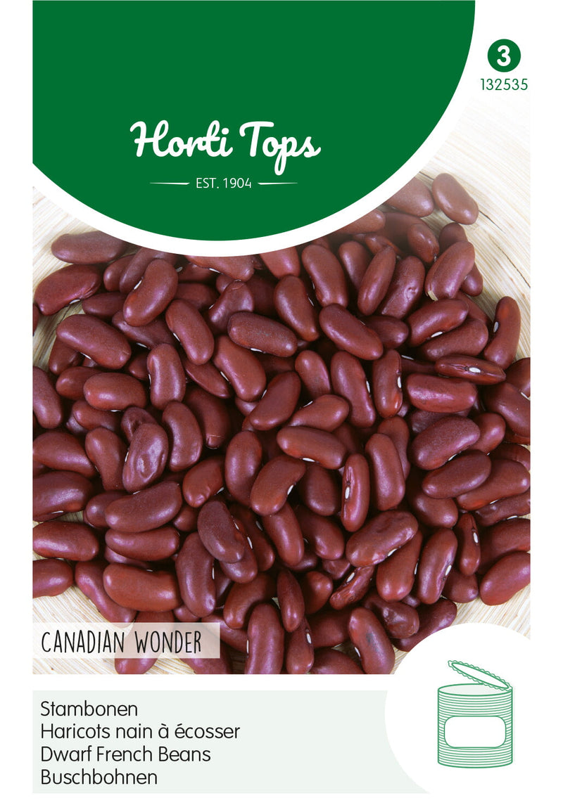 French Dwarf Beans - Canadian Wonder - 15g