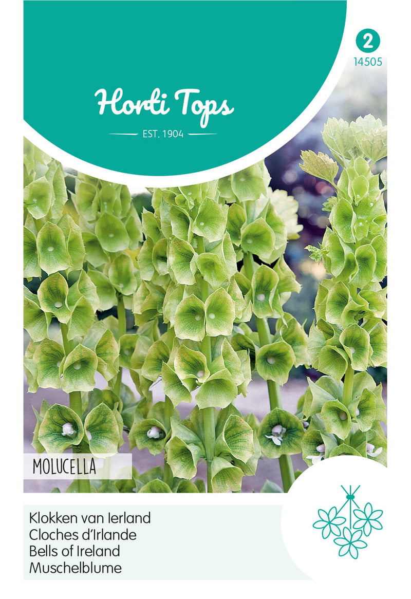 Bells of Ireland - Molucella - 0,75g