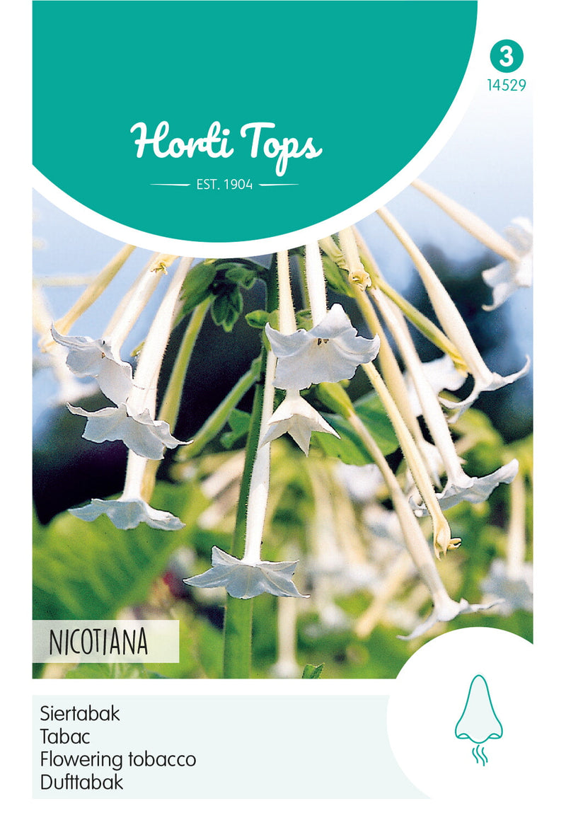 Cvjetni Duhan - Nicotiana White - 0,15g