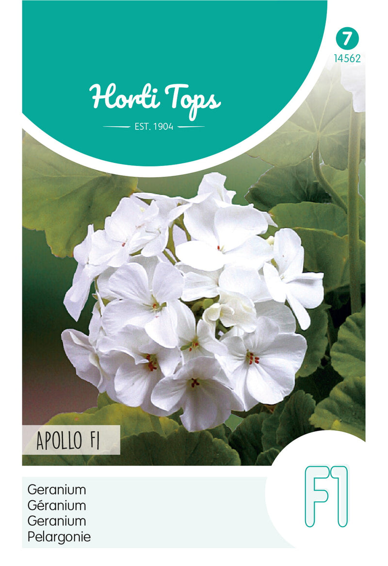 Geranium - Apollo F1 - 10 Seeds